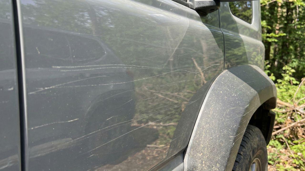 枝などでついた細かい線傷(ピンストライプ)があるミディアムグレーのボディ表面のアップ